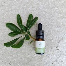 Earth Seed Oil